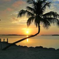 Visiting the Upper Florida Keys with Kids