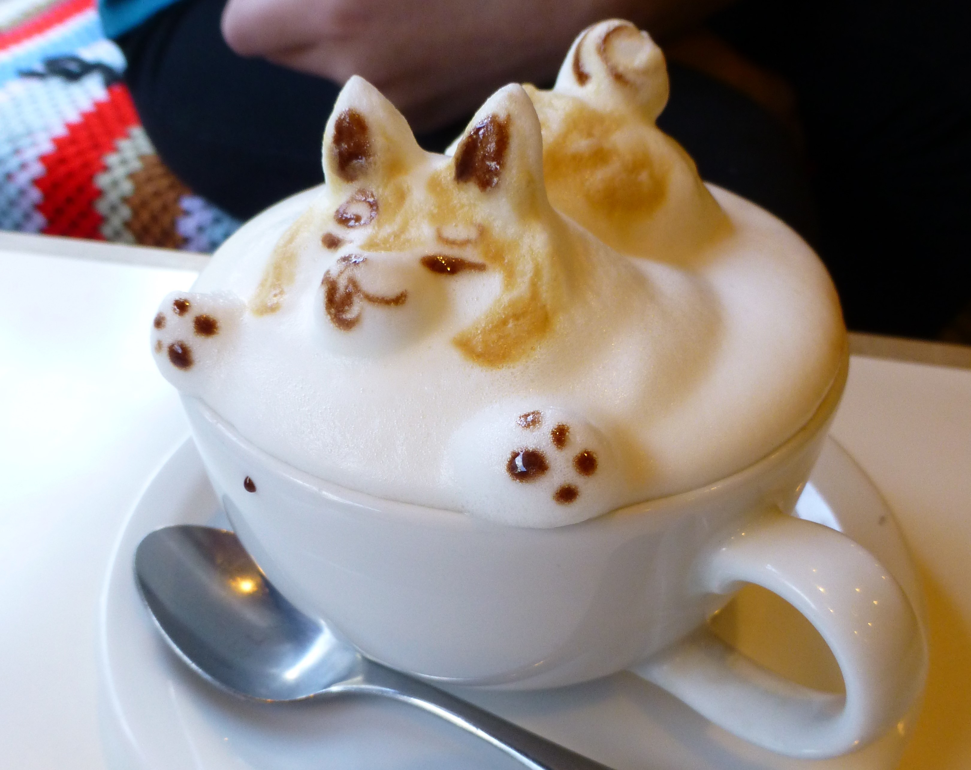 3D latte art, Dog, Tokyo, Japan. Reissue Cafe