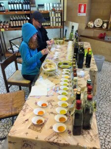 Frantoio Gargiulo olive oil tour and tasting in Sorrento, Italy