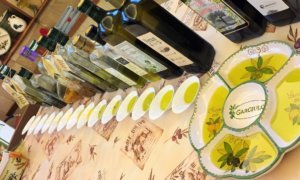 A Visit to an Olive Oil Mill in Southern Italy