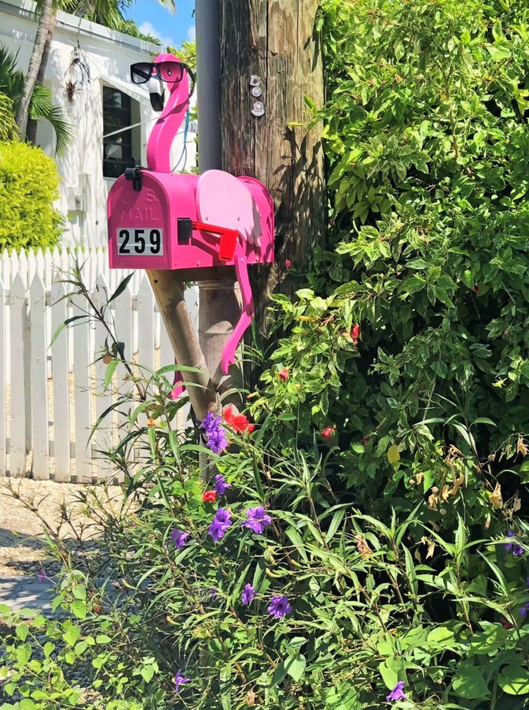 In Islamorada, Florida, it is perfectly normal to have a pink flamingo mailbox