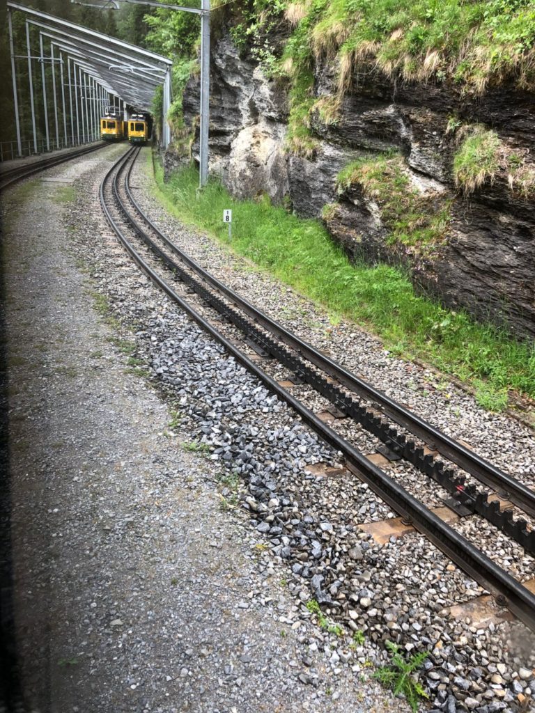 Cog trains allow trains to travel up the steep inclines in the Swiss Alps